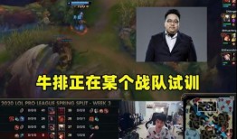 最新战队爆料,揭秘最新战队动向与神秘策略